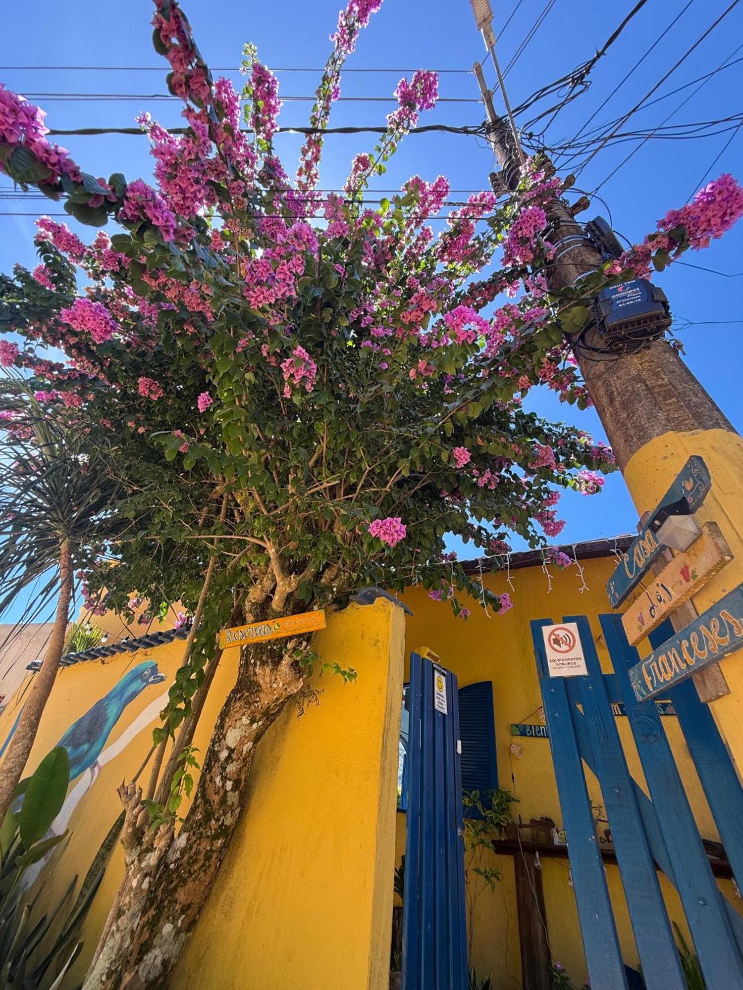 Casa Dos Franceses Guesthouse Ilha Grande المظهر الخارجي الصورة