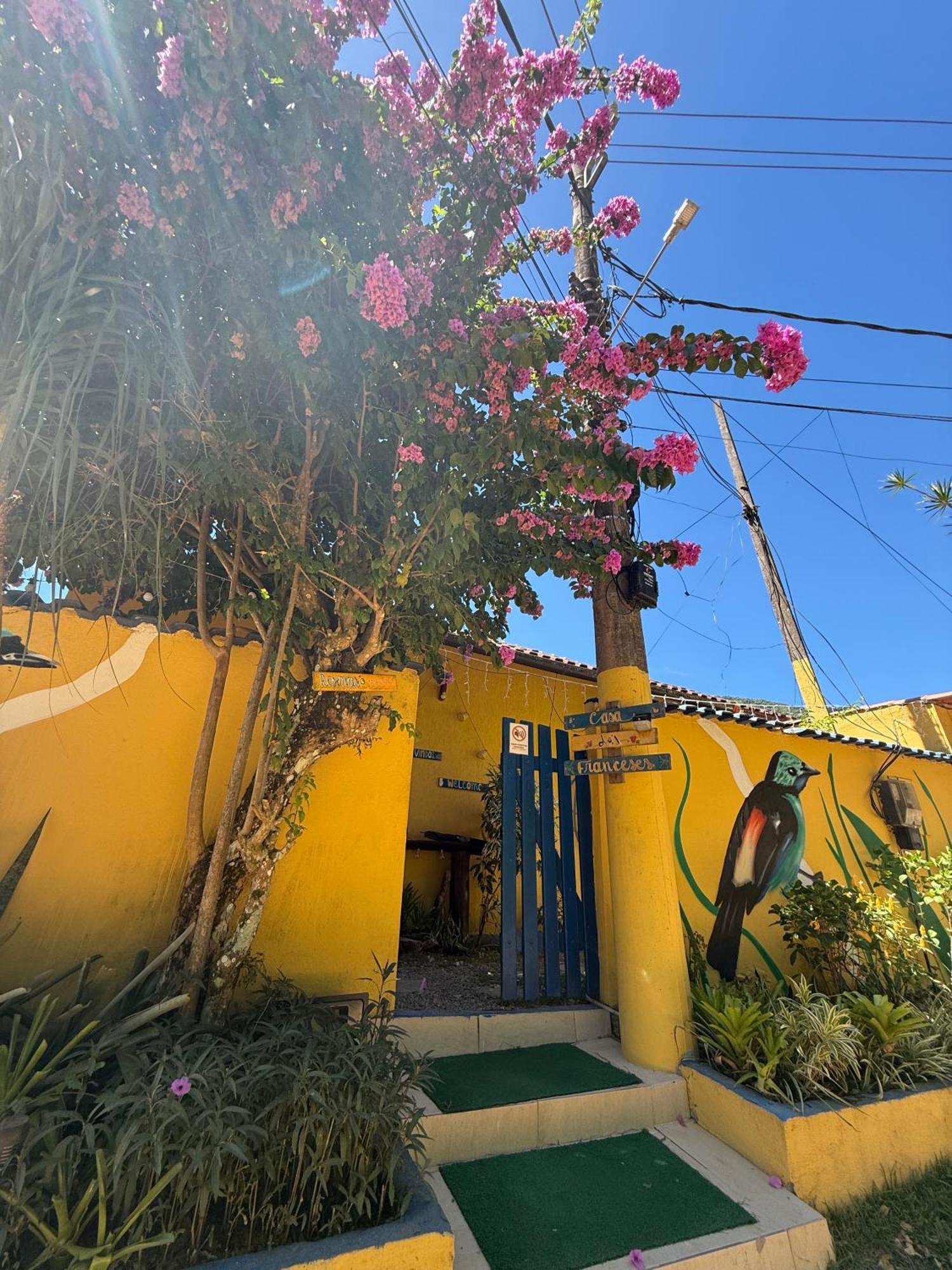 Casa Dos Franceses Guesthouse Ilha Grande المظهر الخارجي الصورة